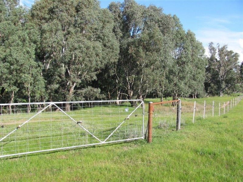 501 Culcairn Road, Holbrook NSW 2644