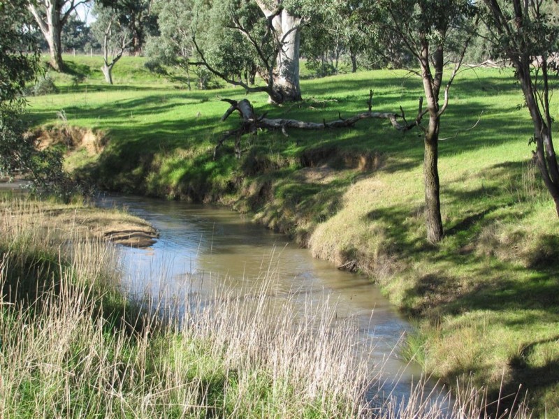 501 Culcairn Road, Holbrook NSW 2644