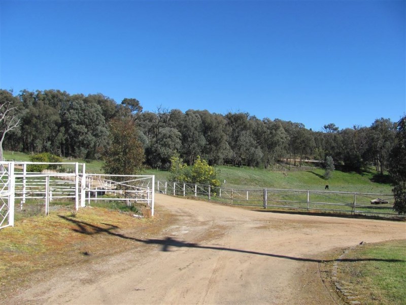 Bilainey/615 Tunnel Road, Woomargama NSW 2644