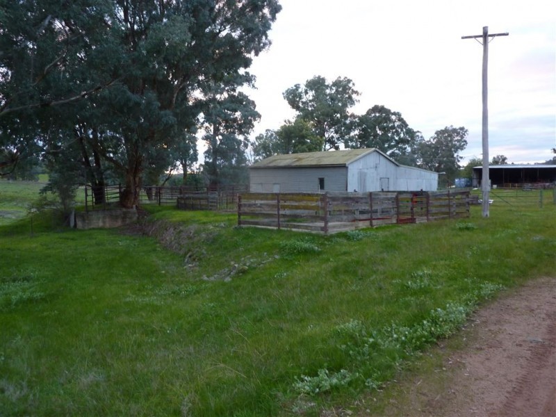 Bilainey/615 Tunnel Road, Woomargama NSW 2644