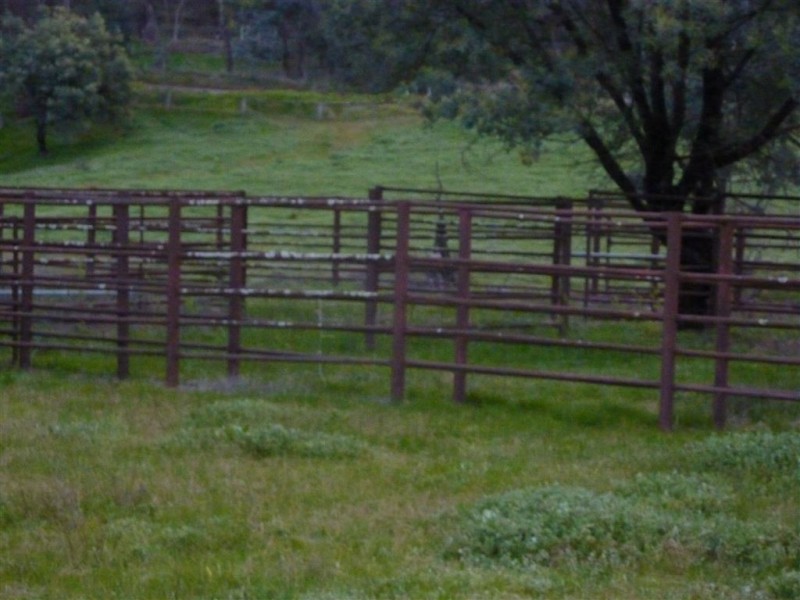 Bilainey/615 Tunnel Road, Woomargama NSW 2644