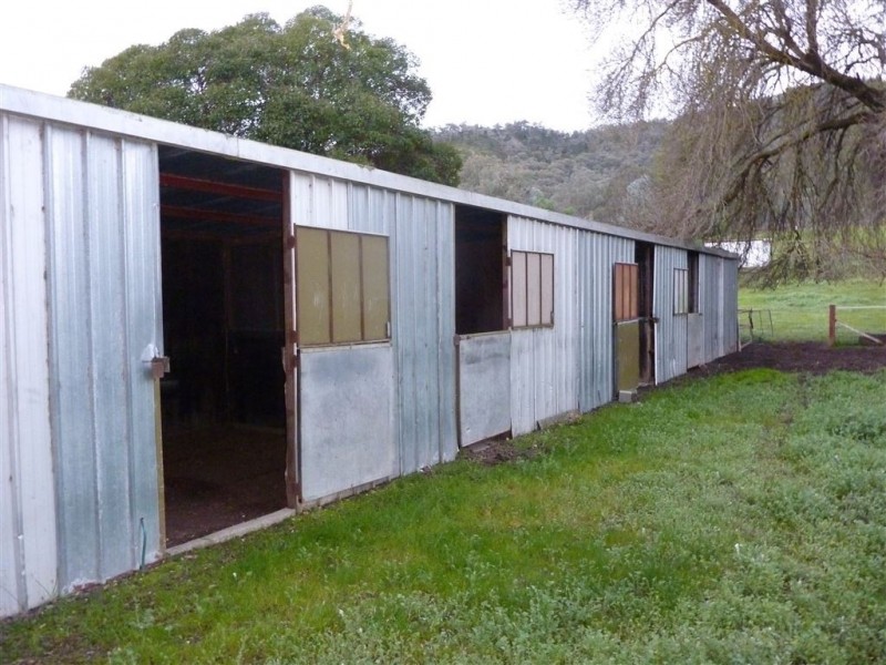 Bilainey/615 Tunnel Road, Woomargama NSW 2644