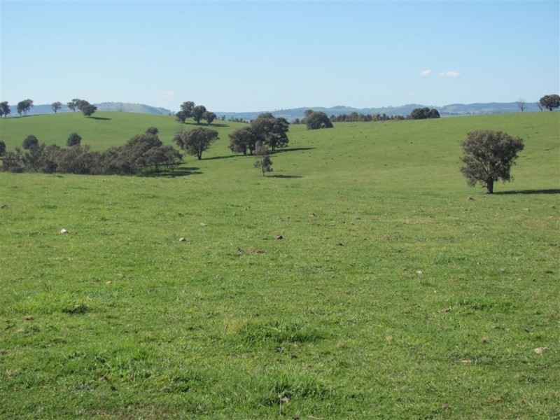 “Emu Hill” Pulletop Road, Holbrook NSW 2644