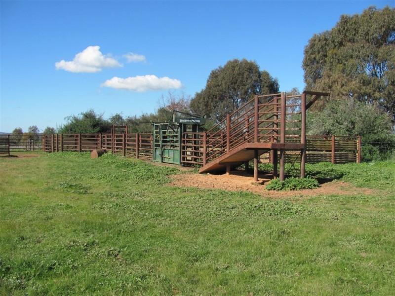 “Emu Hill” Pulletop Road, Holbrook NSW 2644