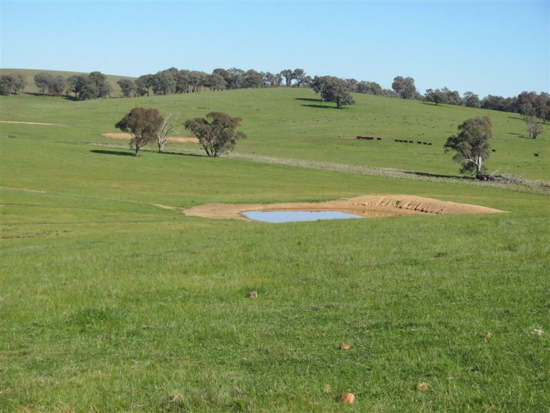 “Emu Hill” Pulletop Road, Holbrook NSW 2644