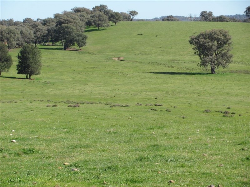 “Emu Hill” Pulletop Road, Holbrook NSW 2644