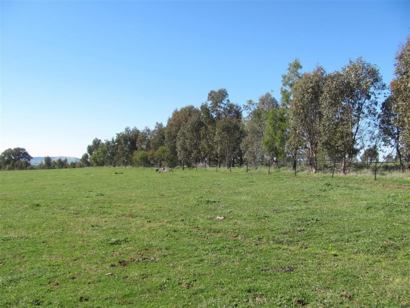 “Emu Hill” Pulletop Road, Holbrook NSW 2644