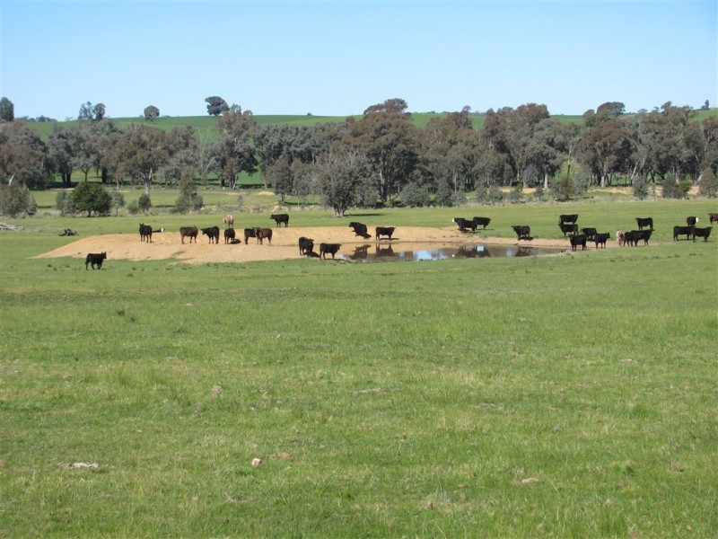 “Emu Hill” Pulletop Road, Holbrook NSW 2644