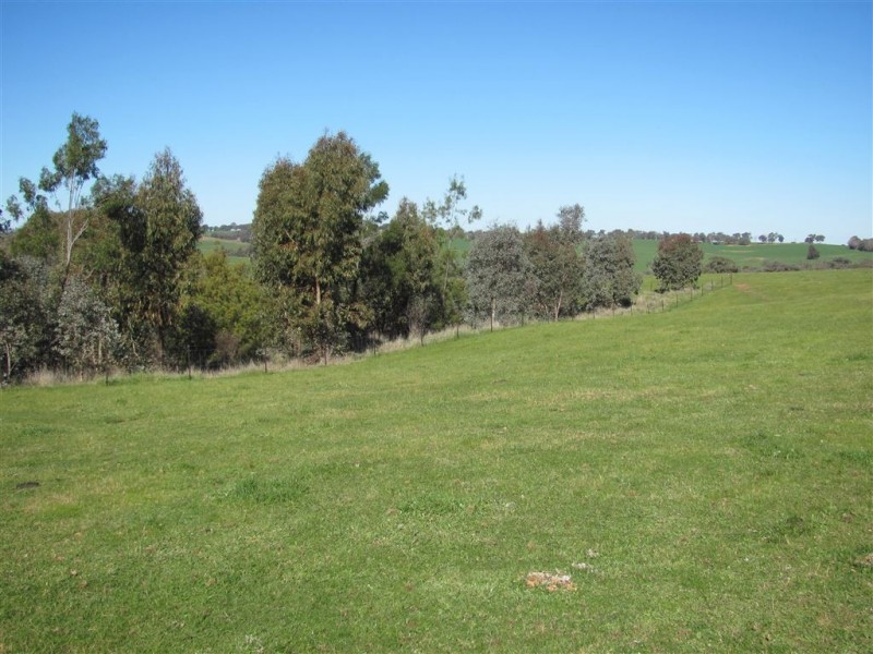 “Emu Hill” Pulletop Road, Holbrook NSW 2644