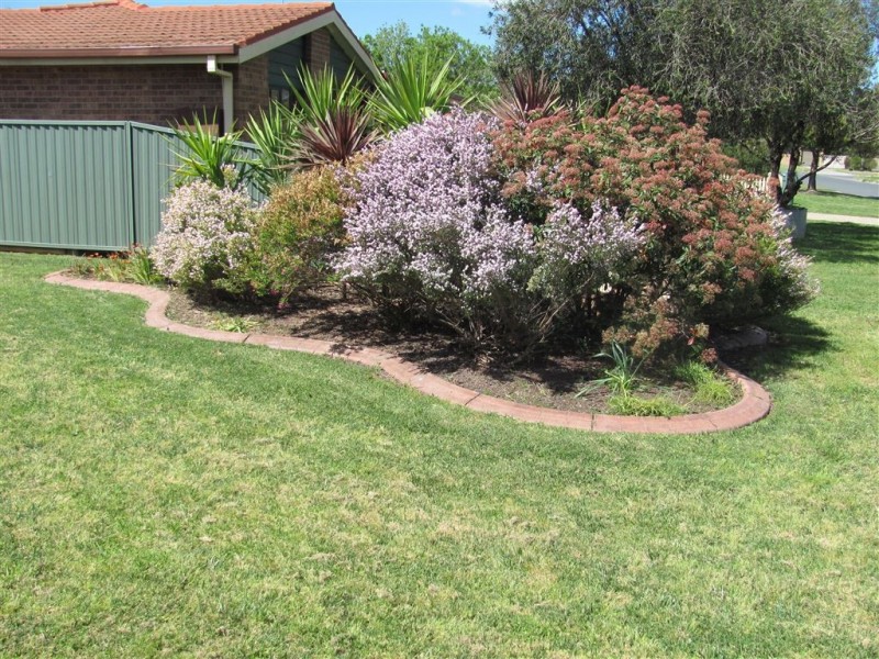 13 Murdoch Street, Holbrook NSW 2644