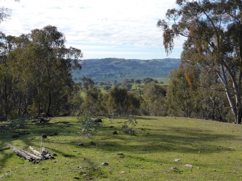 764 Linsells Road, Tumbarumba NSW 2653