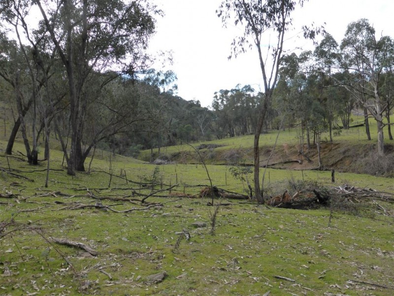 764 Linsells Road, Tumbarumba NSW 2653