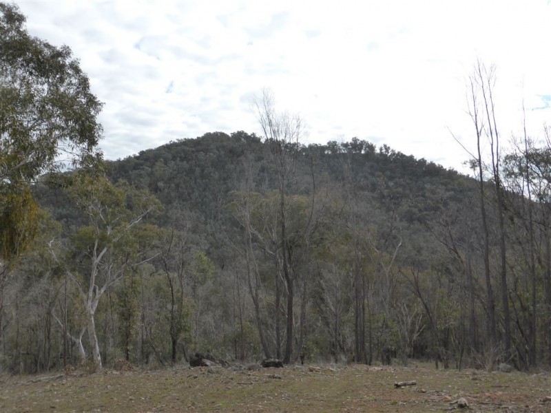 764 Linsells Road, Tumbarumba NSW 2653