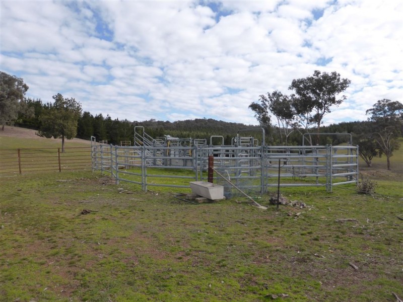764 Linsells Road, Tumbarumba NSW 2653
