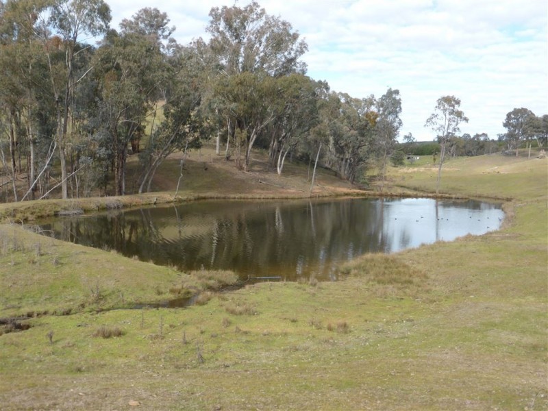 764 Linsells Road, Tumbarumba NSW 2653