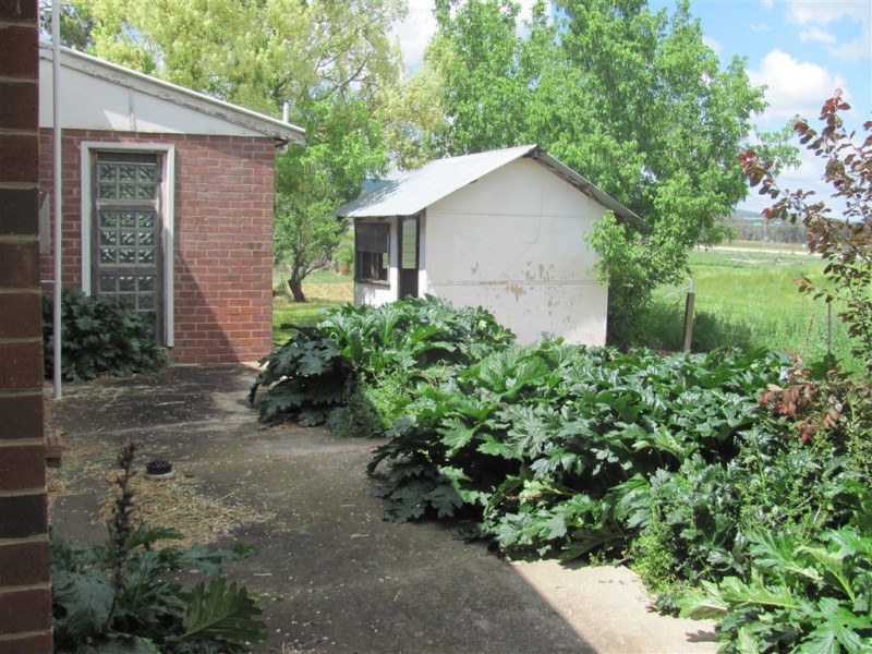 “Mile End” Pinnabar Road, Holbrook NSW 2644