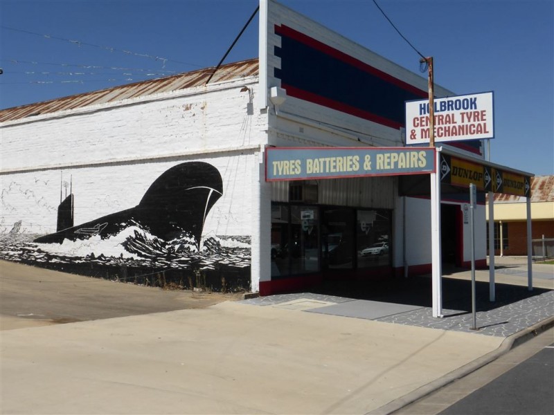 120 Albury Street, Holbrook NSW 2644