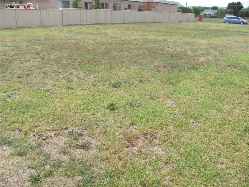 1 Stirbeck Street, Holbrook NSW 2644