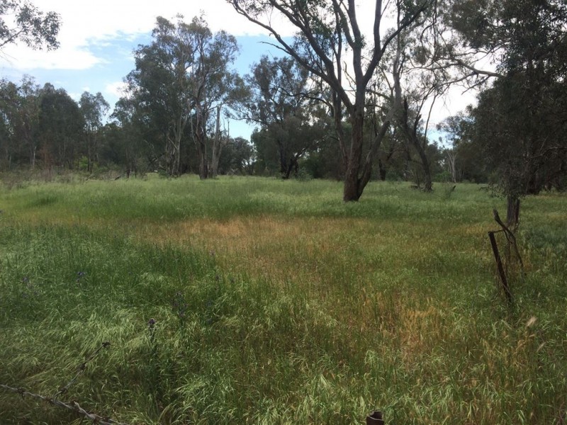 Lot 10 Mate Street / Mazzocchi Road, Morven NSW 2660