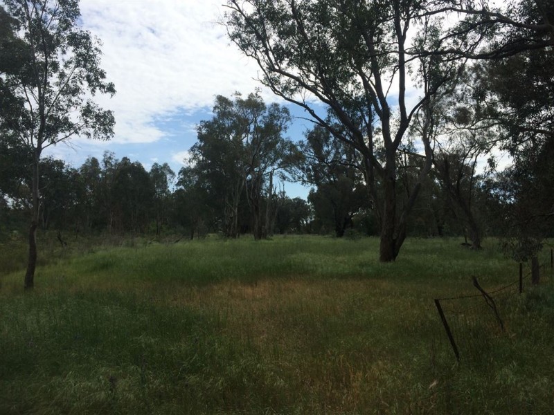 Lot 10 Mate Street / Mazzocchi Road, Morven NSW 2660