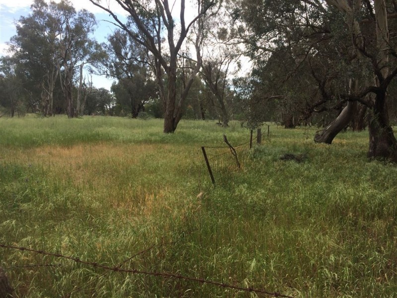 Lot 10 Mate Street / Mazzocchi Road, Morven NSW 2660