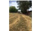 22 Thorpe Street, Holbrook NSW 2644