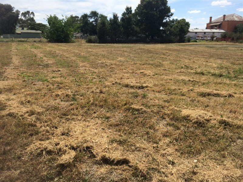 22 Thorpe Street, Holbrook NSW 2644