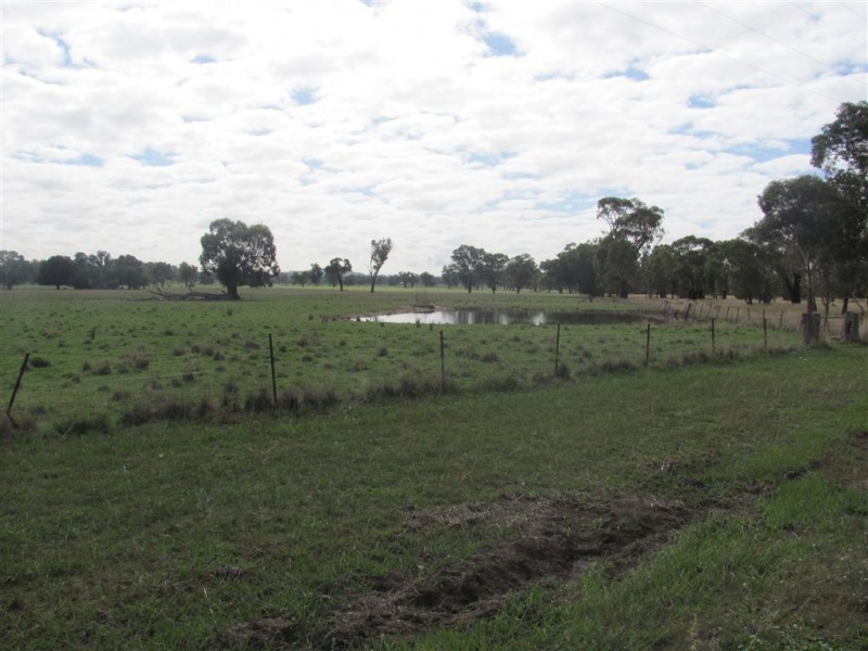 Lots 1,138 Morven  / Cookardinia Road, Morven NSW 2660