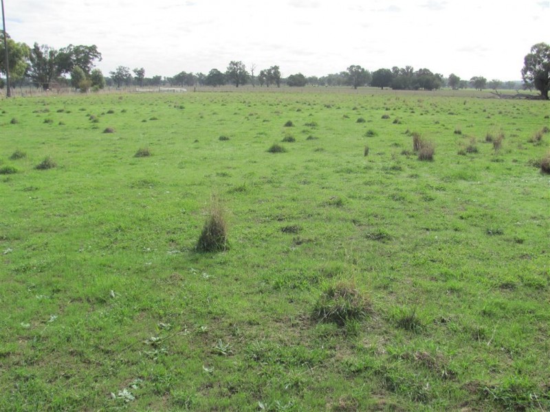 Lots 1,138 Morven  / Cookardinia Road, Morven NSW 2660