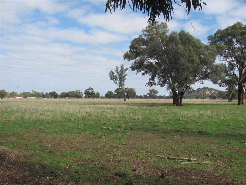 Lots 1,138 Morven  / Cookardinia Road, Morven NSW 2660