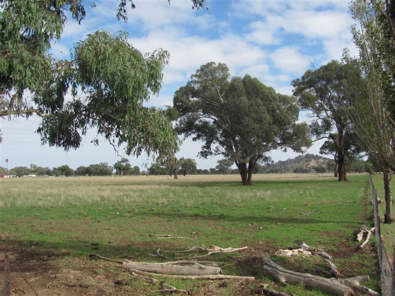 Lots 1,138 Morven  / Cookardinia Road, Morven NSW 2660