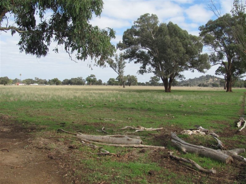 Lots 1,138 Morven  / Cookardinia Road, Morven NSW 2660