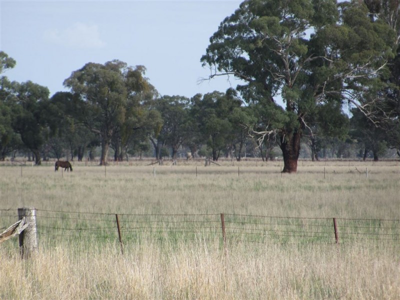 Lots 1,138 Morven  / Cookardinia Road, Morven NSW 2660