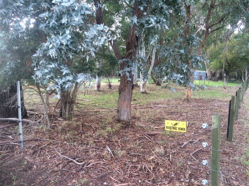 65,67 Macinnes Street, Holbrook NSW 2644