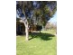 171 Albury Street, Holbrook NSW 2644