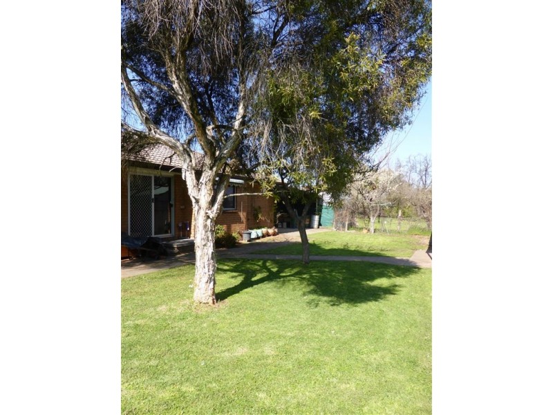171 Albury Street, Holbrook NSW 2644