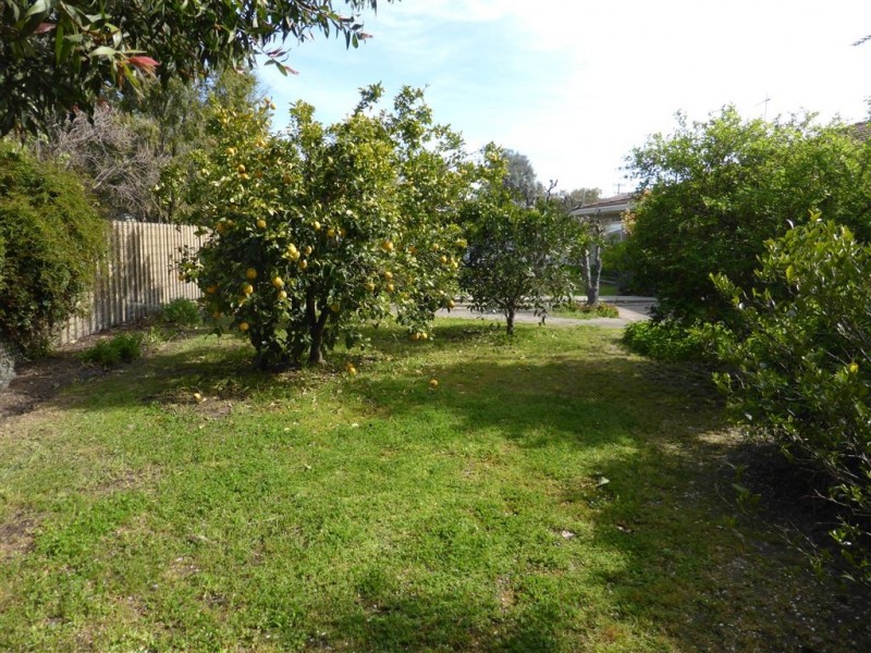 12 King Street, Holbrook NSW 2644