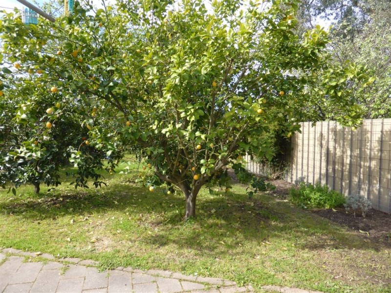 12 King Street, Holbrook NSW 2644