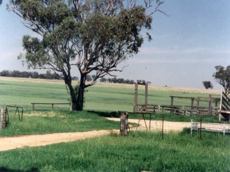 ” AUBURN”, Inverell NSW 2360