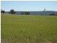 . Karoola House Block, Inverell NSW 2360