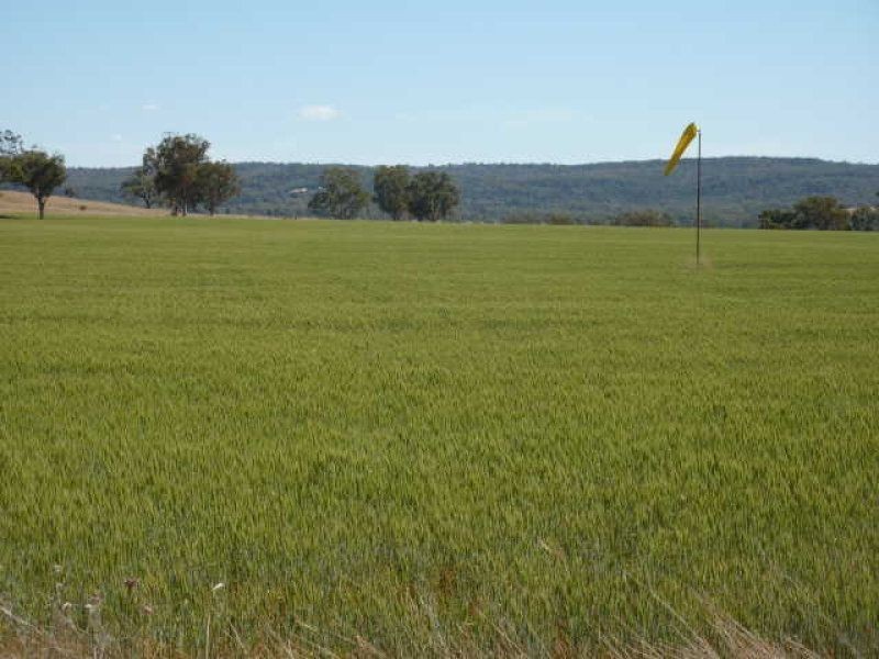 . Karoola House Block, Inverell NSW 2360