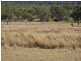 . Willows, Inverell NSW 2360