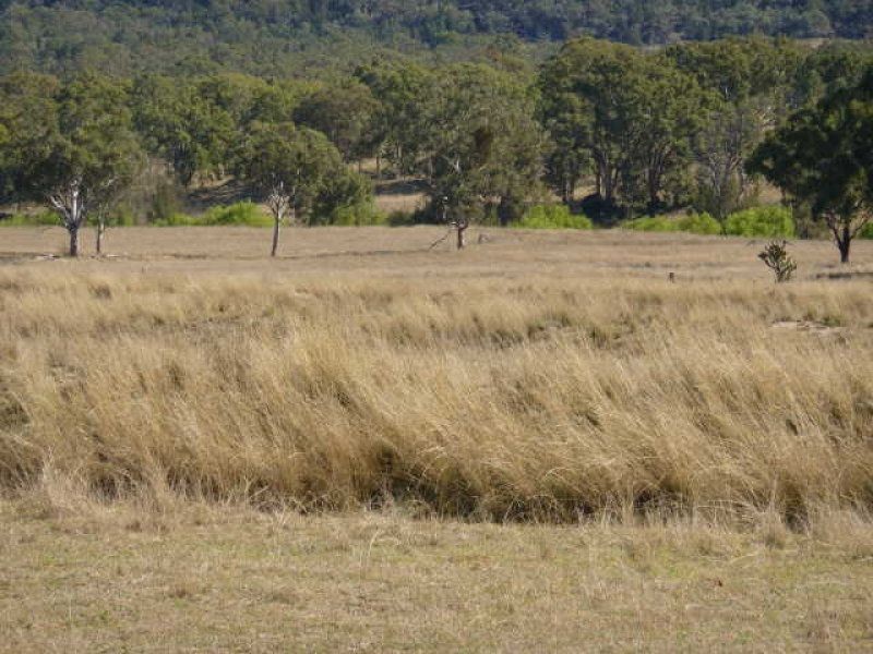 . Willows, Inverell NSW 2360
