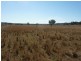 . Willows, Inverell NSW 2360