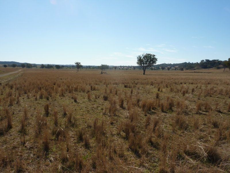 . Willows, Inverell NSW 2360