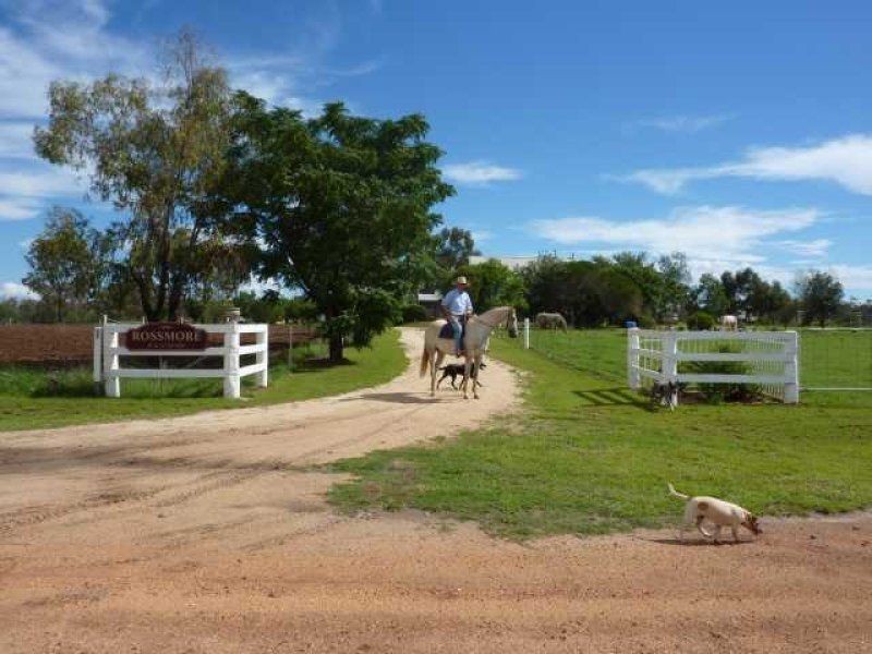 . McNeils Lane “ROSSMORE”, Inverell NSW 2360