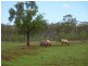 . McNeils Lane “ROSSMORE”, Inverell NSW 2360