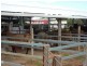 . McNeils Lane “ROSSMORE”, Inverell NSW 2360