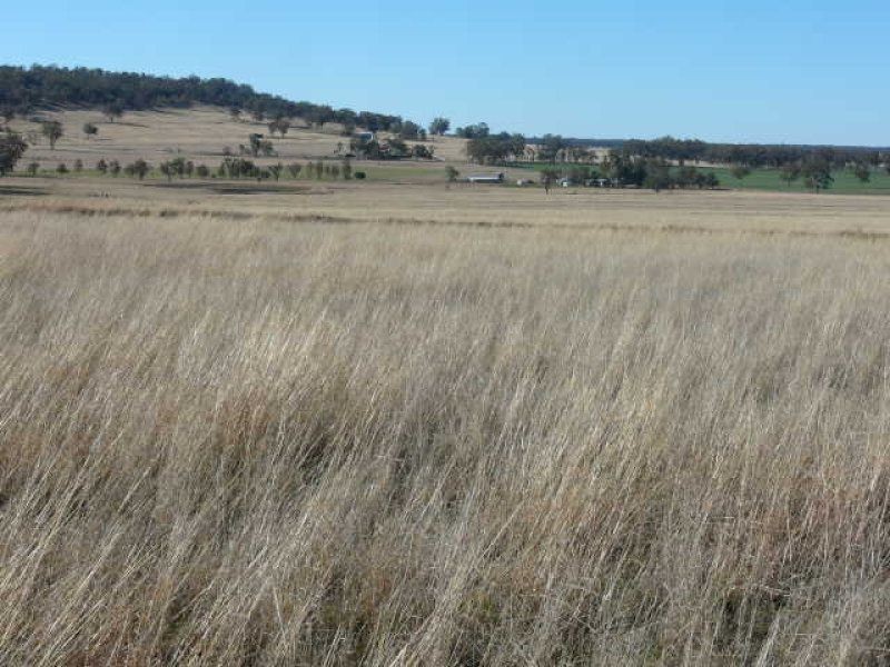 ** Kempton Park, Inverell NSW 2360