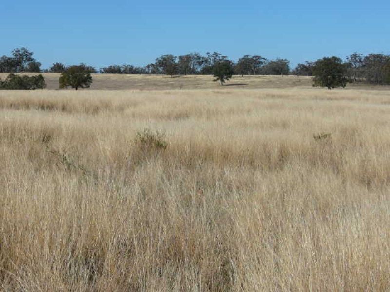 ** Kempton Park, Inverell NSW 2360